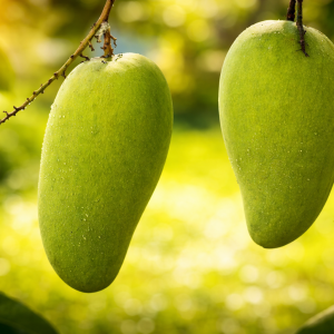 নাগফজলি আম
